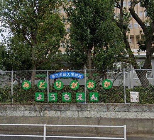 �y���Ӂz�@�c�t���^�F�肱�ǂ��������Ɛ���w�����݂ǂ�P�u�c�t�� �k��12���B 890m