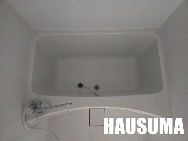 �y�o�X�z�@2026�N�X���B�e