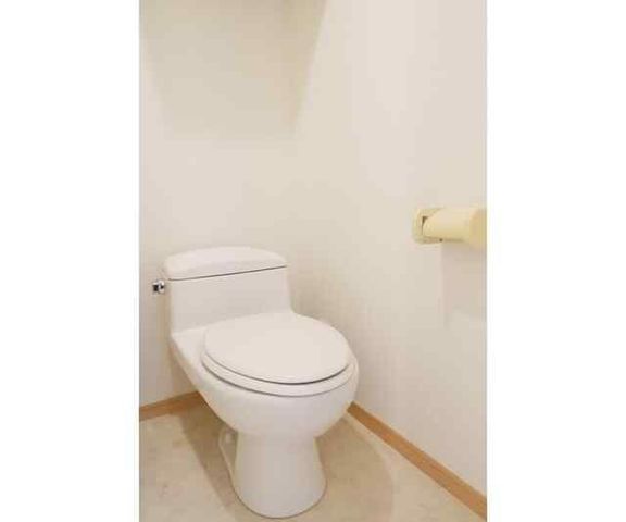 �y�g�C���z�@
