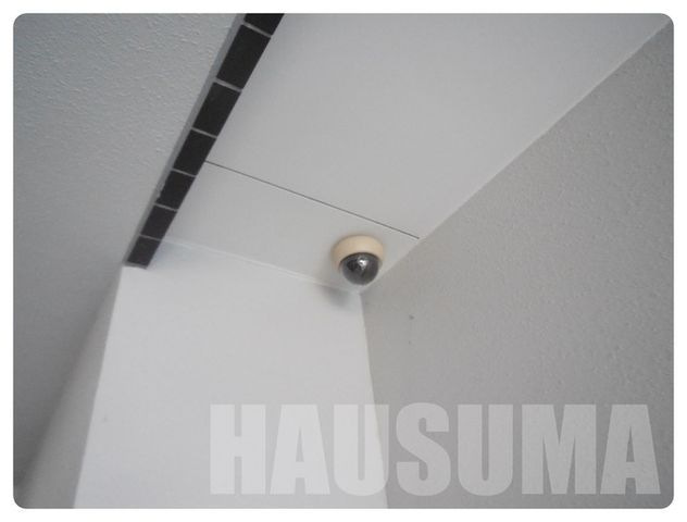 �y���̑��z�@�h�ƃJ����