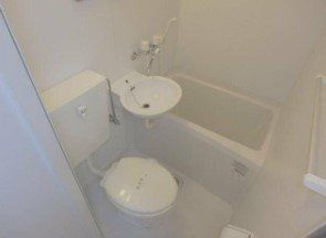 �y���ʏ��z�@�g�C��