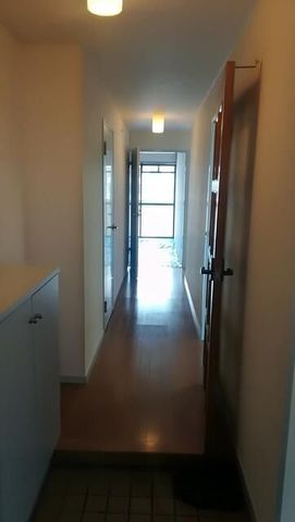 �y���ցz�@