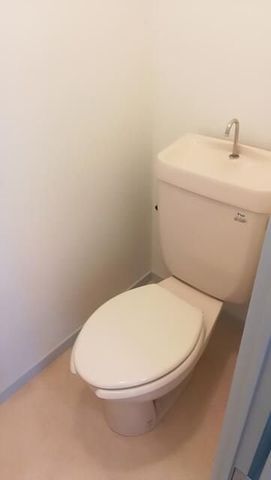 �y�g�C���z�@