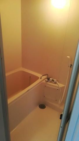 �y�o�X�z�@