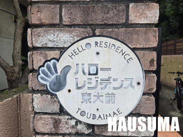 �y���̑��z�@2026�N7���B�e
