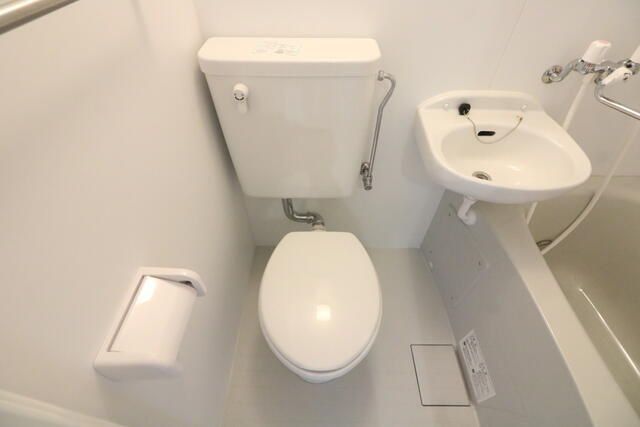 �y�g�C���z�@