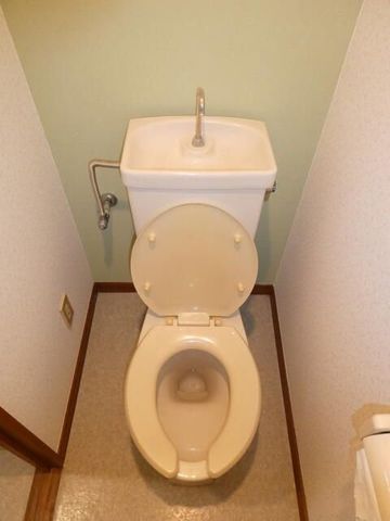 �y�g�C���z�@