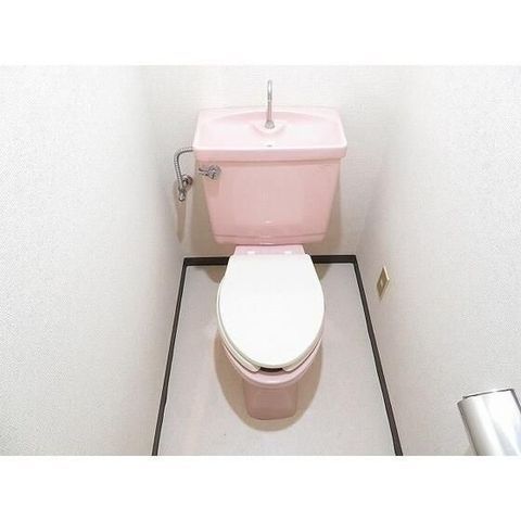 �y�g�C���z�@