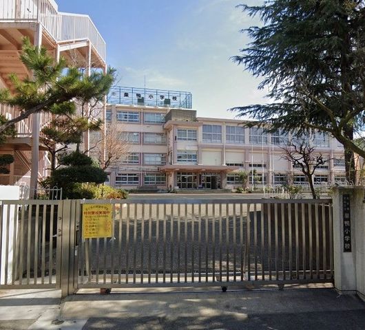 �y���Ӂz�@�L���旧�������w�Z �k��7���B 560m