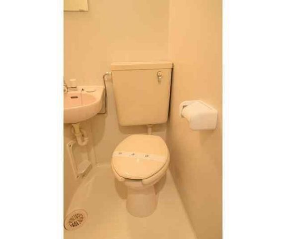 �y�g�C���z�@
