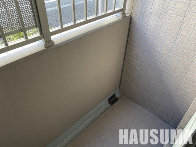 �y�o���R�j�[�z�@�o���R�j�[