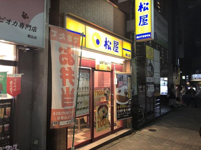 �y���Ӂz�@������X �k��1���B 40m