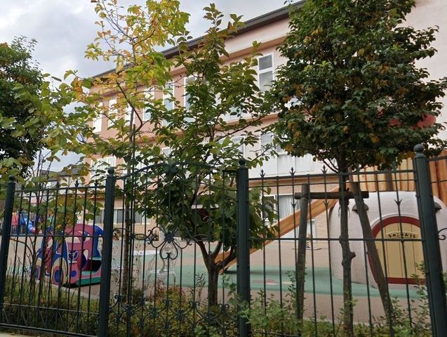 �y���Ӂz�@�x�m���c�t�� �k��1���B 80m