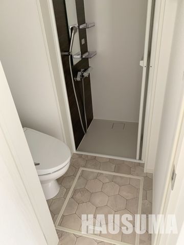 �y���̑��z�@���ʏ�