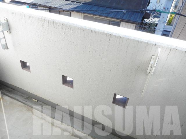 �y�o���R�j�[�z�@�o���R�j�[