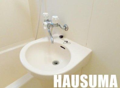 �y���ʏ��z�@���������ʐ^�g�p
