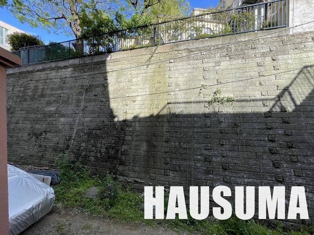 �y���̑��z�@2023�N4���B�e