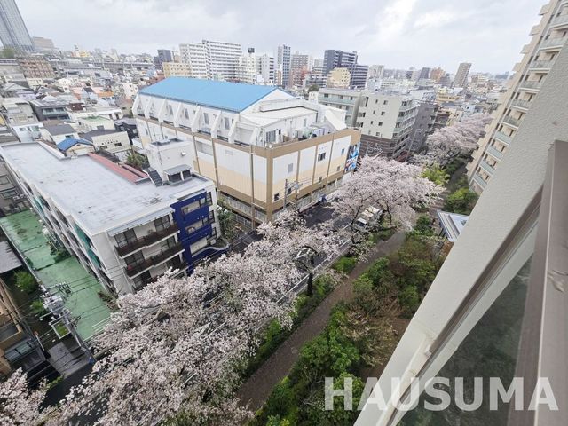 �y���̑��z�@2026.4.4�B�e