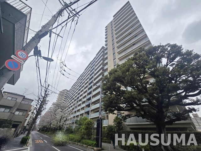 �y�����O�ρz�@2026.4.4�B�e