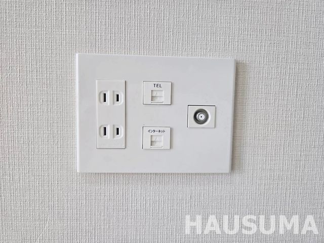 �y���̑��ݔ��z�@2026.4.4�B�e