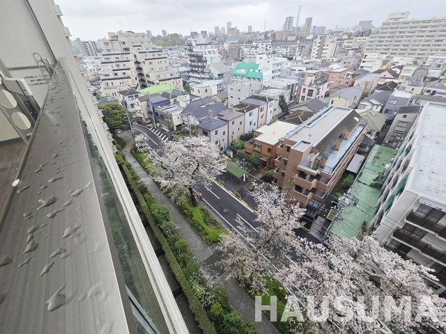 �y���̑��z�@2026.4.4�B�e