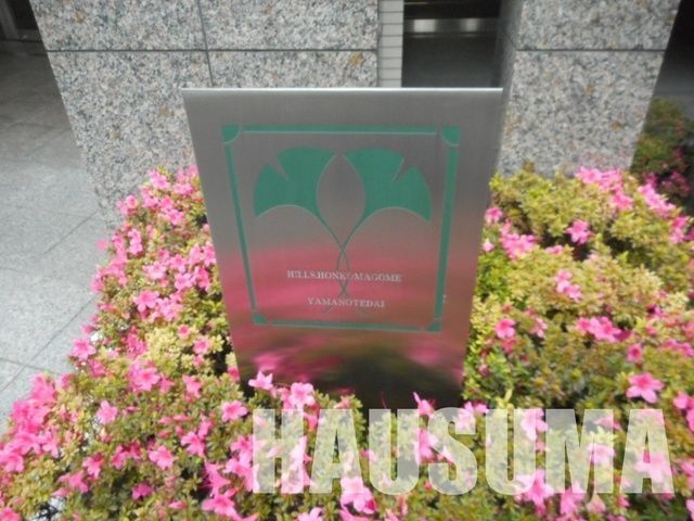 �y���̑��z�@