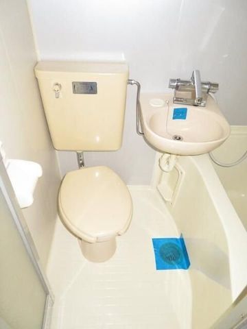 �y�g�C���z�@