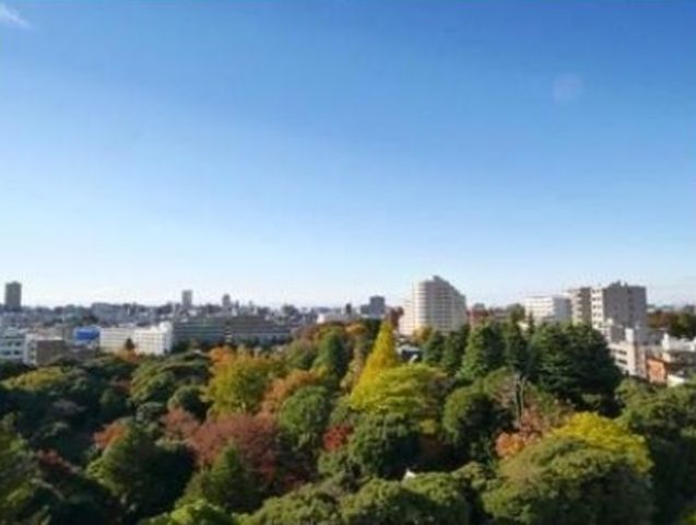 �y���̑��z�@