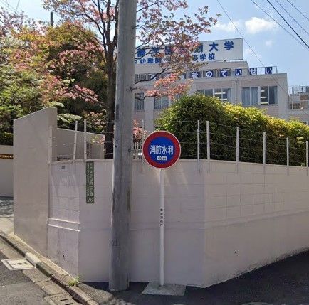 �y���Ӂz�@��Êw���Z����w �k��10���B 800m