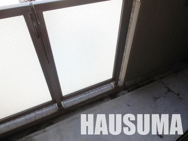 �y�o���R�j�[�z�@���������Q�Ǝʐ^��