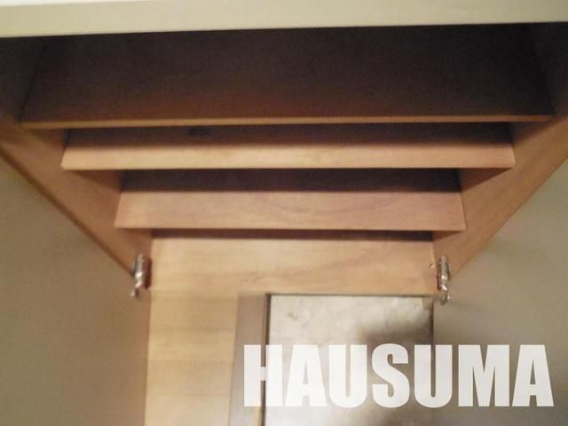 �y���[�z�@���������Q�Ǝʐ^��