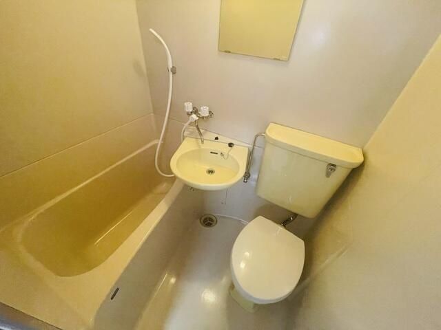 �y�g�C���z�@