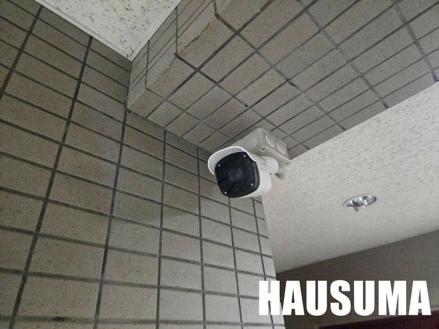 �y���̑��ݔ��z�@���L����