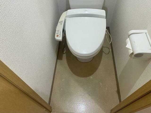 �y�g�C���z�@���������Q�Ǝʐ^��