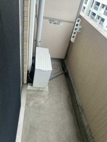 �y�o���R�j�[�z�@���������Q�Ǝʐ^��