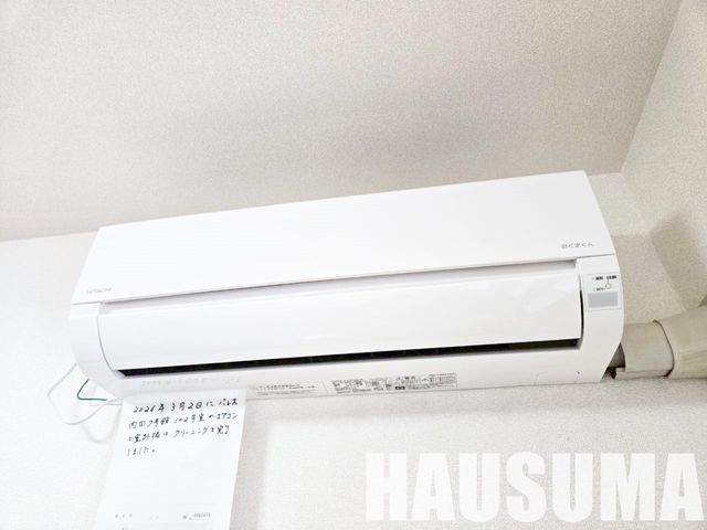 �y���̑��ݔ��z�@2026.3.30�B�e