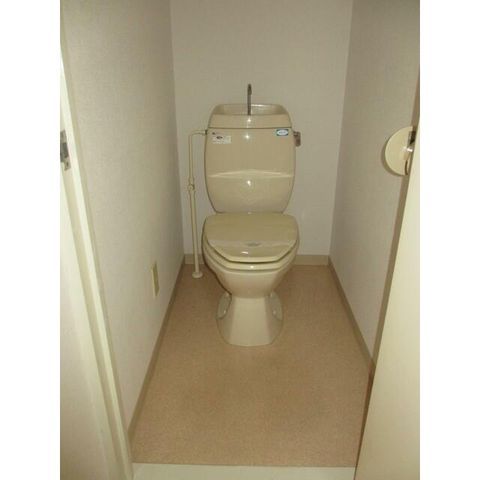 �y�g�C���z�@