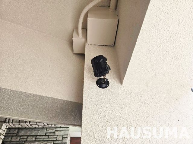 �y���̑��ݔ��z�@2026.4.13�B�e