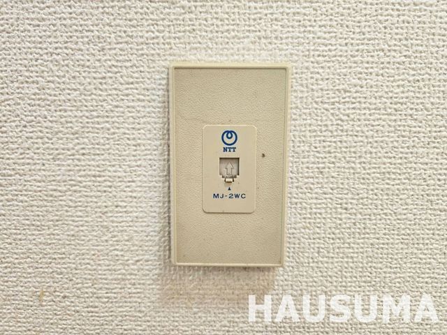 �y���̑��ݔ��z�@2026.4.13�B�e