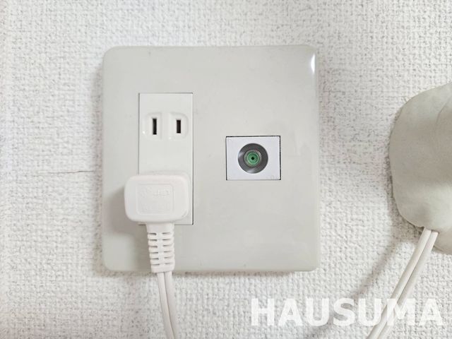 �y���̑��ݔ��z�@2026.4.13�B�e