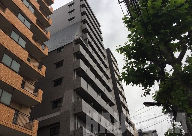 �y�����O�ρz�@�O��