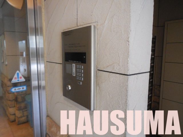 �y���̑��z�@��2015�N8���B�e