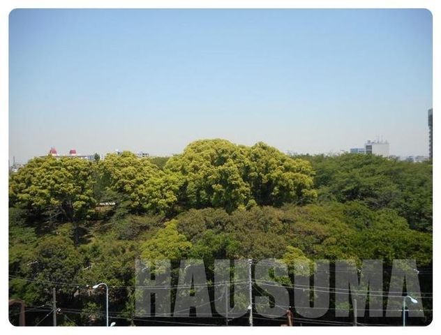 �y���̑��z�@