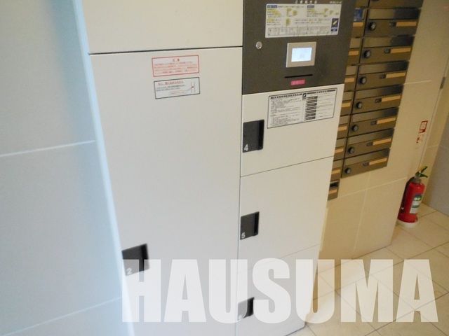 �y���̑��z�@��2015�N8���B�e