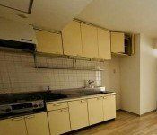 �y���̑��ݔ��z�@���������Q�Ǝʐ^��