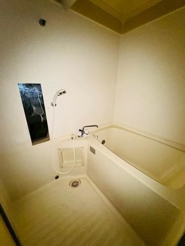 �y�o�X�z�@���������Q�Ǝʐ^��