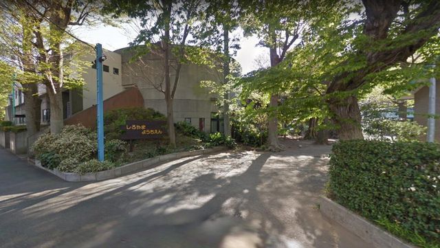 �y���Ӂz�@��R�c�t�� �k��17���B 1290m