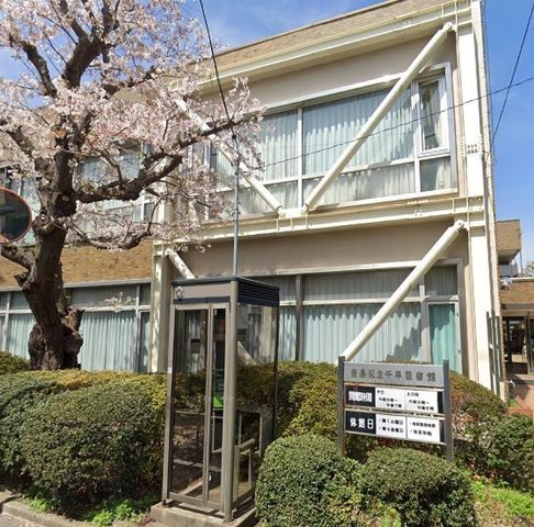 �y���Ӂz�@�L���旧�瑁�}���� �k��21���B 1610m