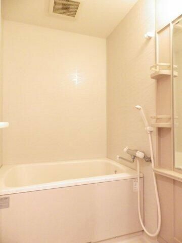 �y�o�X�z�@���������Q�Ǝʐ^��