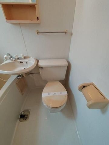 �y�g�C���z�@